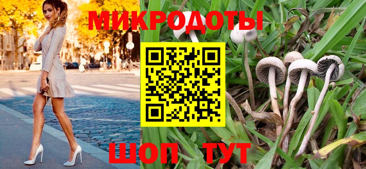 наркошоп  Вход с VPN  Великий Новгород  Псилоцибиновые грибы ЛСД 